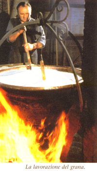 Lavorazione del grana  550x900---130 kb